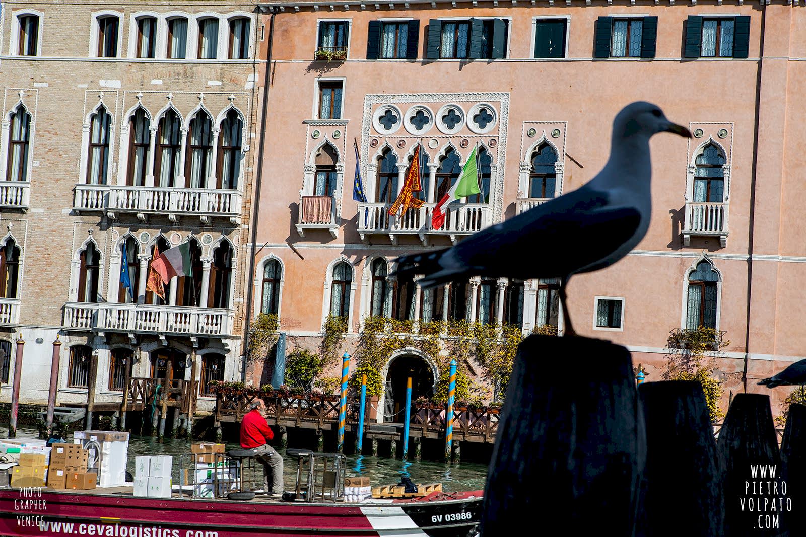 fotografo venezia corso fotografia workshop foto tour personalizzato passeggiata