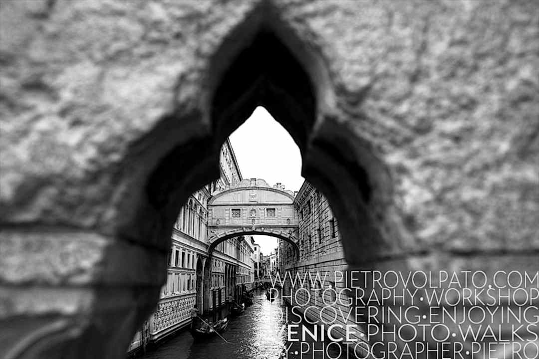 photographer venice